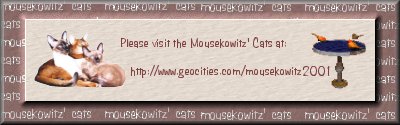 Mousekowitzbanner.jpg (17795 bytes)
