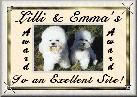 awardbichon.gif (35099 bytes)