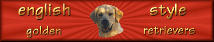 bannerenglishstyle.gif (22874 bytes)