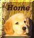 boompuphome.jpg (2125 bytes)