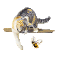 catgrap2.gif (3298 bytes)