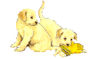 doggie17.gif (5464 bytes)