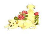 doggie20.gif (6505 bytes)