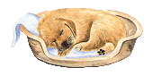 doggie55.gif (9551 bytes)