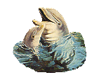 dolfins.gif (8372 bytes)