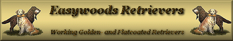 easywoodsbanner2.gif (24053 bytes)