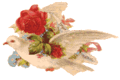 gif65.gif (5143 bytes)