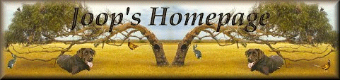 joopbanner.gif (52188 bytes)