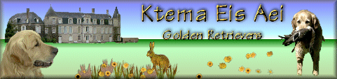 ktemabanner1.gif (33698 bytes)