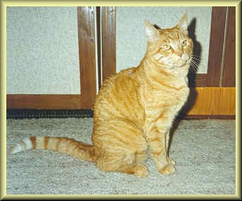 pic66.jpg (12624 bytes)