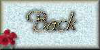 schoffieback.gif (11193 bytes)