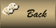 scott1back.gif (3520 bytes)