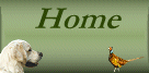 scott2home.gif