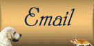 scottmail.gif