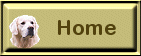 snowhomescott.gif (3686 bytes)