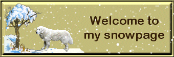 snowscottwelcome.gif (20471 bytes)